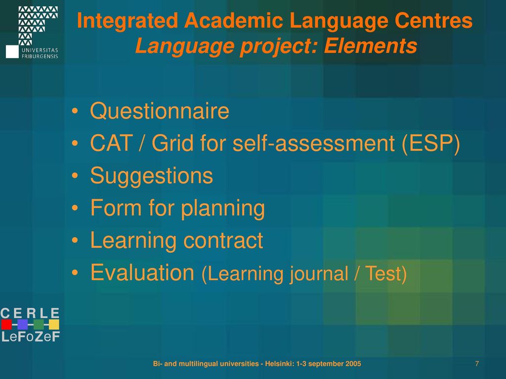 CAT / Grid for self-assessment (ESP) Suggestions Form for planning