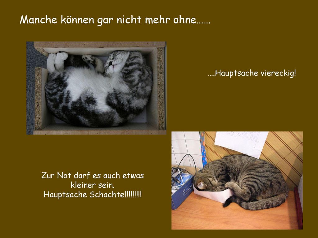 Zur Not darf es auch etwas kleiner sein. Hauptsache Schachtel!!!!!!!!