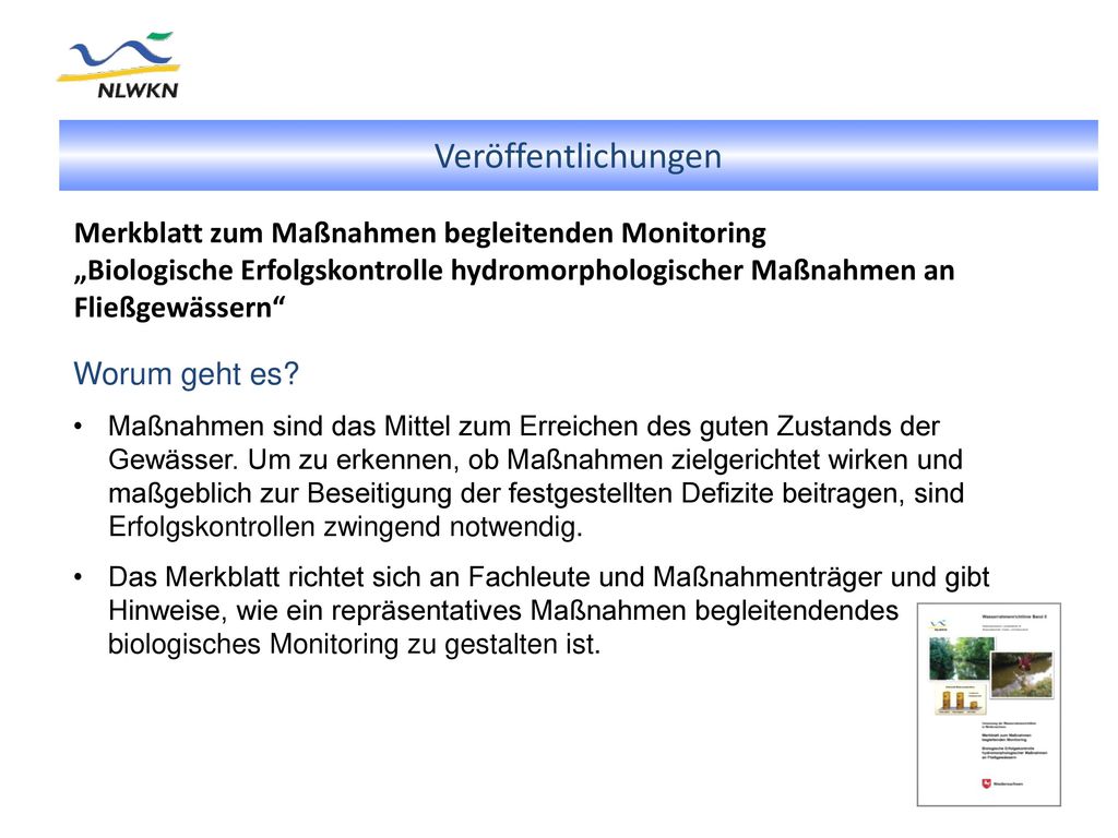 Veröffentlichungen Merkblatt zum Maßnahmen begleitenden Monitoring „Biologische Erfolgskontrolle hydromorphologischer Maßnahmen an Fließgewässern