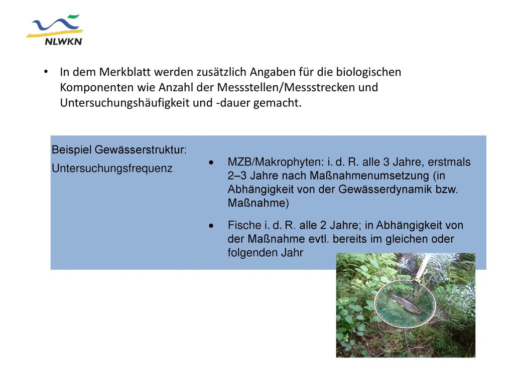 In dem Merkblatt werden zusätzlich Angaben für die biologischen Komponenten wie Anzahl der Messstellen/Messstrecken und Untersuchungshäufigkeit und -dauer gemacht.