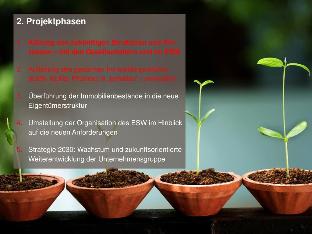 2. Projektphasen Klärung von zukünftigen Strukturen und Pro- zessen – mit den Gesellschaftern und im ESW.