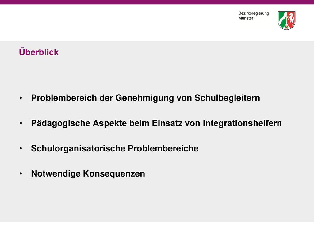 Überblick Problembereich der Genehmigung von Schulbegleitern. Pädagogische Aspekte beim Einsatz von Integrationshelfern.