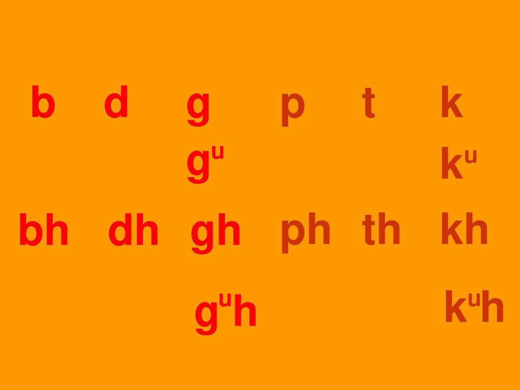 b d g p t k g u k u bh dh gh ph th kh k h g h u u