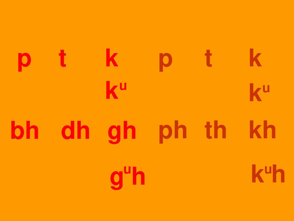 p t k p t k k u k u bh dh gh ph th kh k h g h u u