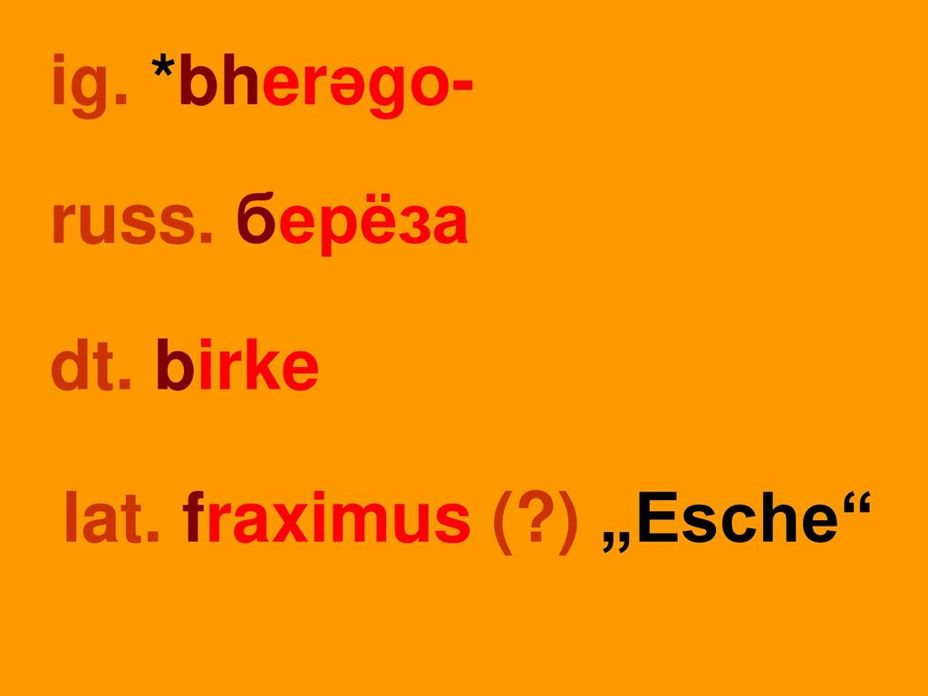 ig. *bherəgo- russ. берёза dt. birke lat. fraximus ( ) „Esche