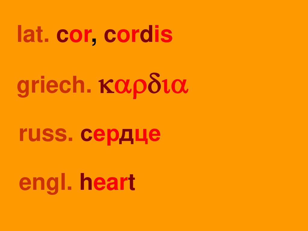 lat. cor, cordis griech. kardia russ. сердце engl. heart