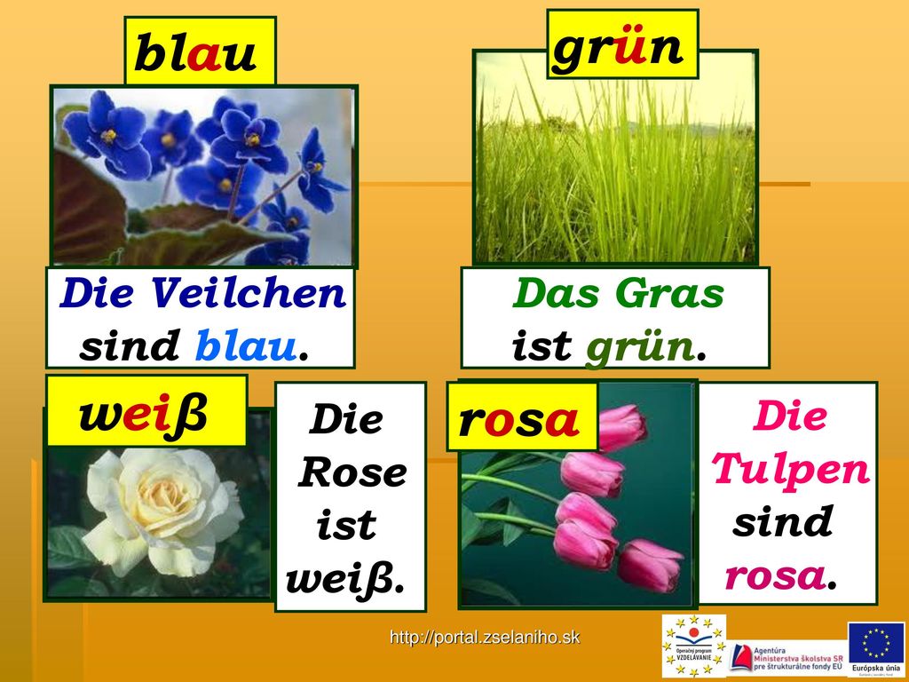grün blau weiβ rosa Die Veilchen sind blau. Das Gras ist grün. Die