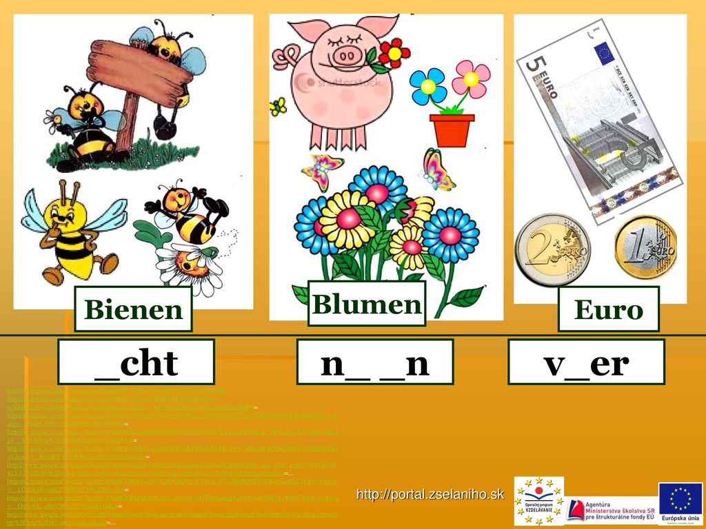 _cht n_ _n v_er Blumen Bienen Euro