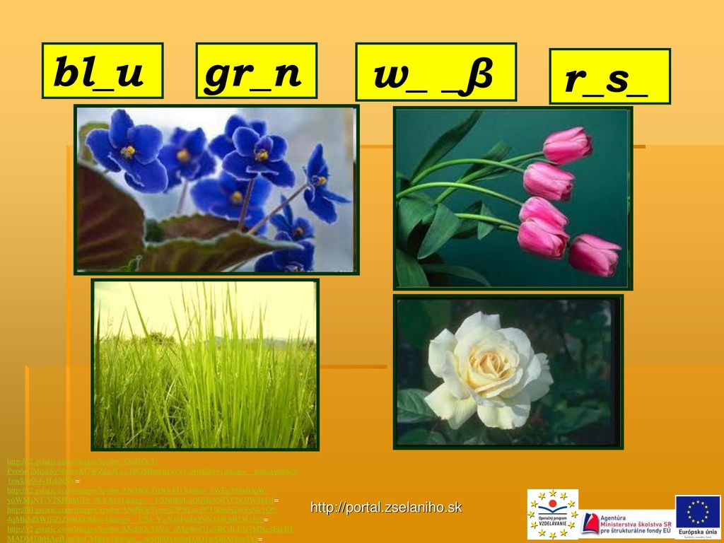 bl_u gr_n w_ _β r_s_
