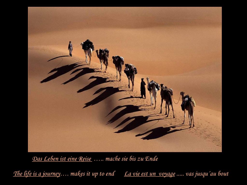 Das Leben ist eine Reise ….. mache sie bis zu Ende