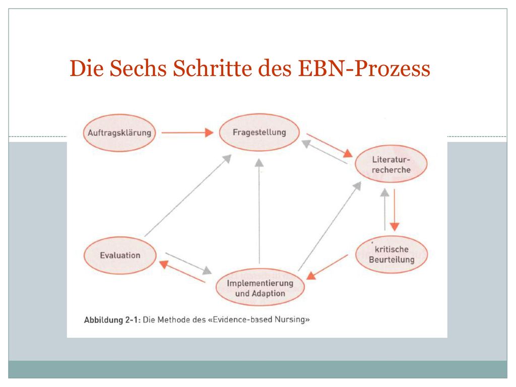 Die Sechs Schritte des EBN-Prozess