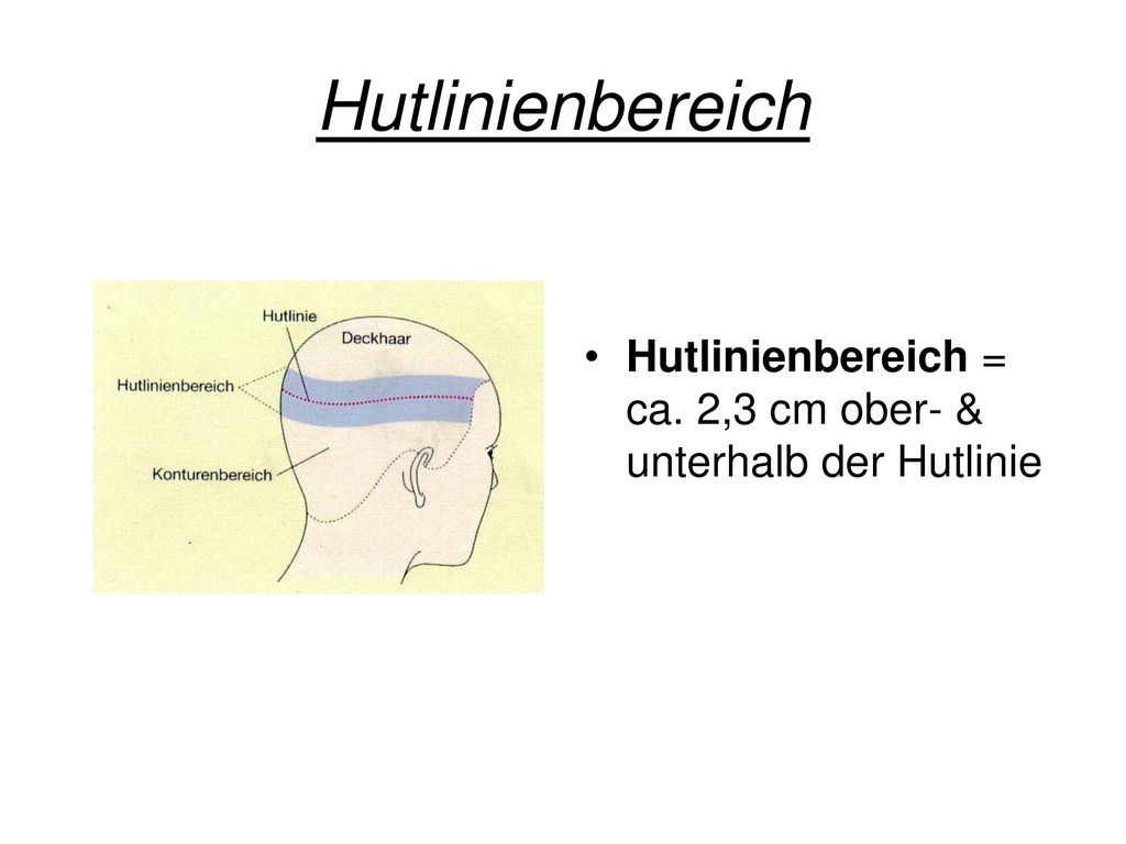 Hutlinienbereich Hutlinienbereich = ca. 2,3 cm ober- & unterhalb der Hutlinie