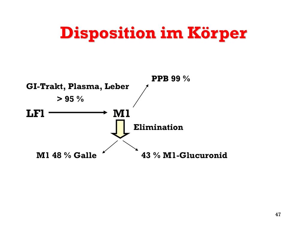 Disposition im Körper LFl M1 PPB 99 % GI-Trakt, Plasma, Leber