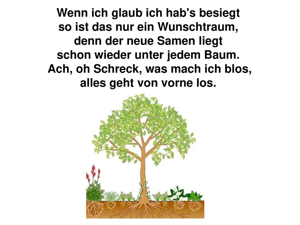 Wenn ich glaub ich hab s besiegt so ist das nur ein Wunschtraum,