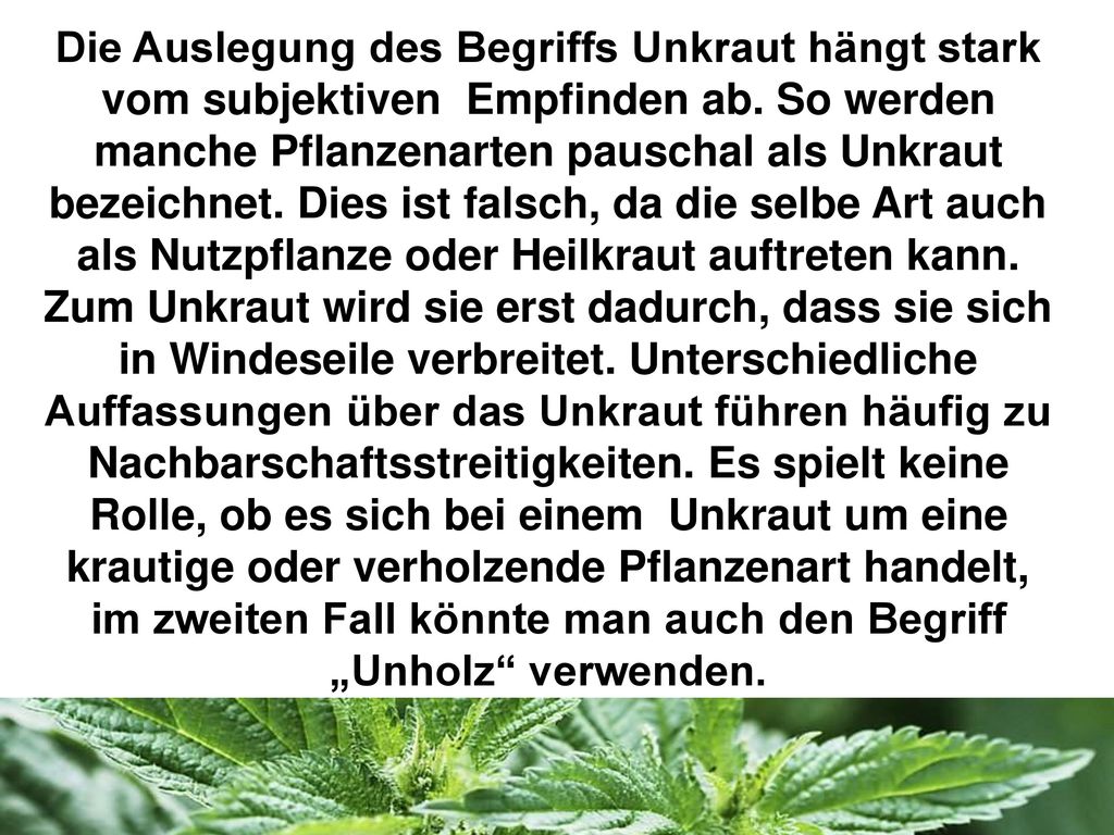 Die Auslegung des Begriffs Unkraut hängt stark vom subjektiven Empfinden ab.