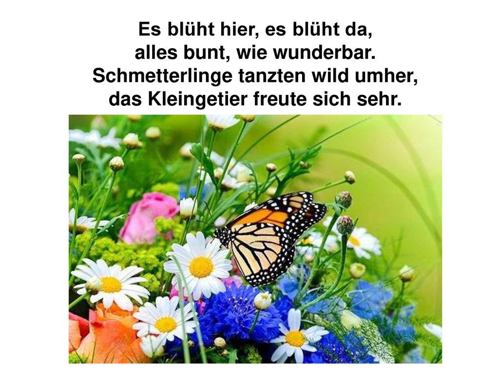 Es blüht hier, es blüht da, alles bunt, wie wunderbar