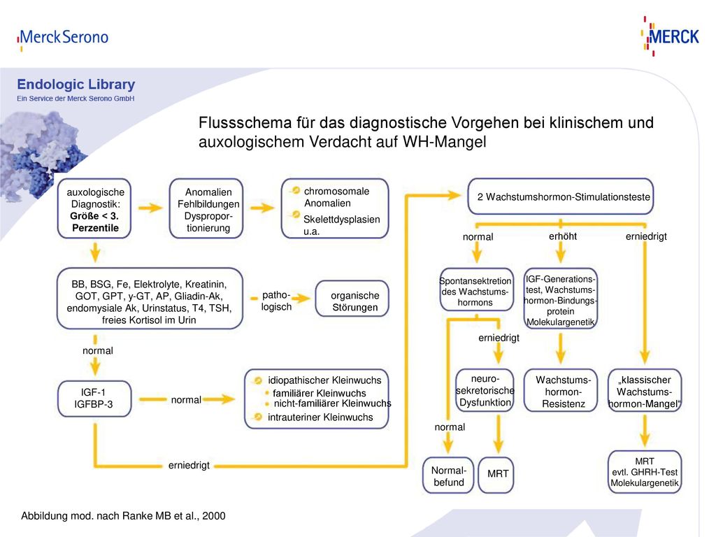 Flussschema für das diagnostische Vorgehen bei klinischem und auxologischem Verdacht auf WH-Mangel
