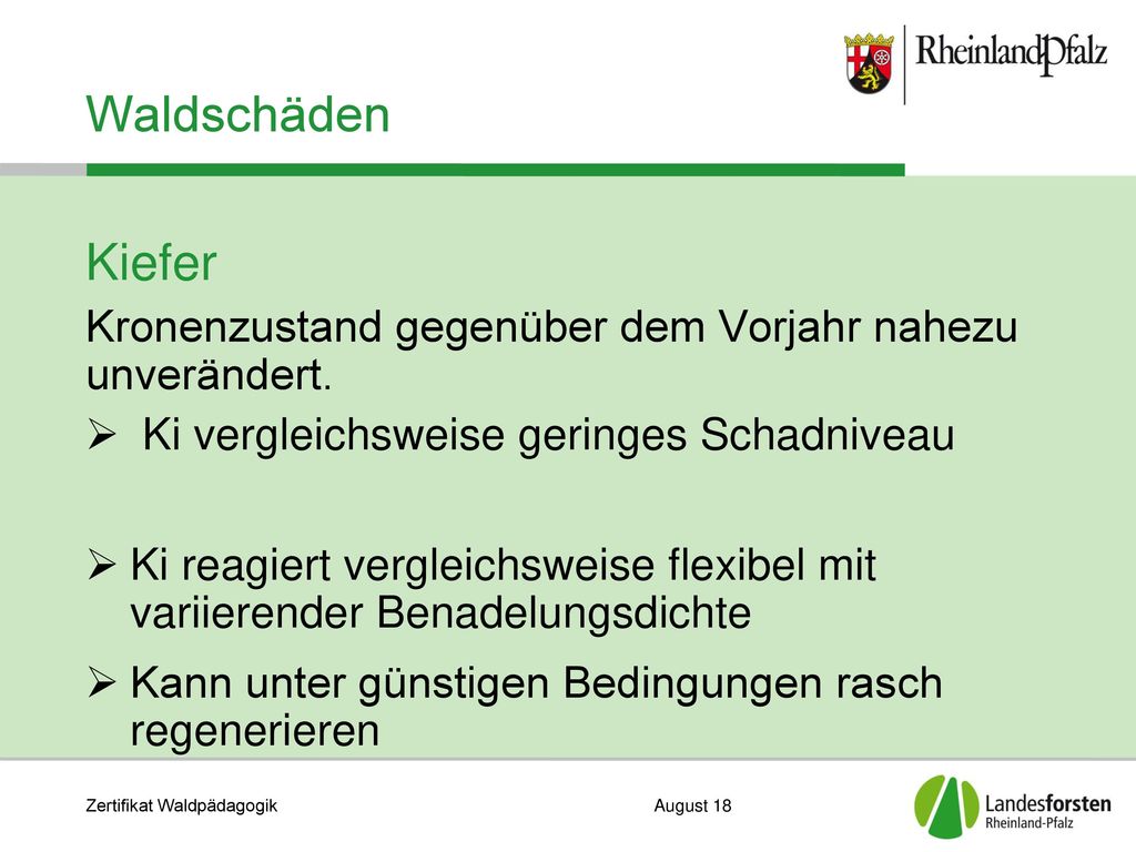 Waldschäden Kiefer. Kronenzustand gegenüber dem Vorjahr nahezu unverändert. Ki vergleichsweise geringes Schadniveau.