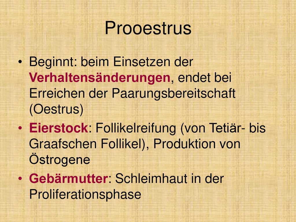 Prooestrus Beginnt: beim Einsetzen der Verhaltensänderungen, endet bei Erreichen der Paarungsbereitschaft (Oestrus)