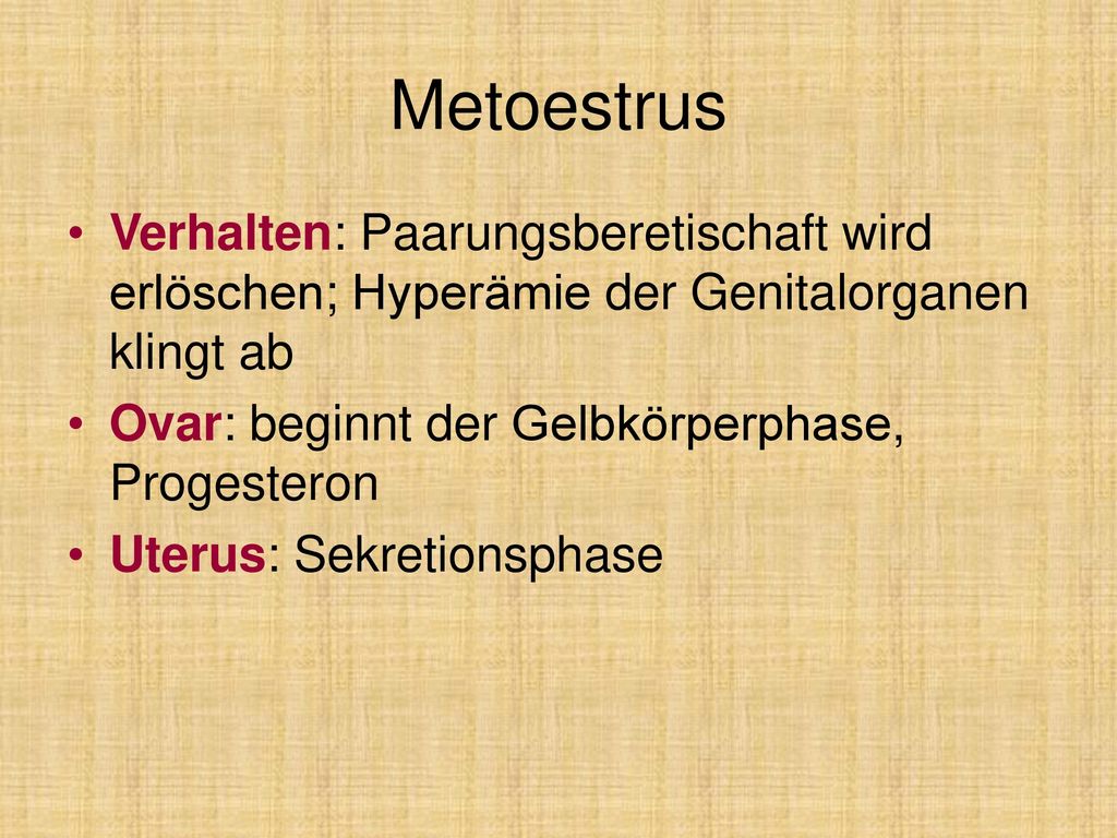 Metoestrus Verhalten: Paarungsberetischaft wird erlöschen; Hyperämie der Genitalorganen klingt ab. Ovar: beginnt der Gelbkörperphase, Progesteron.