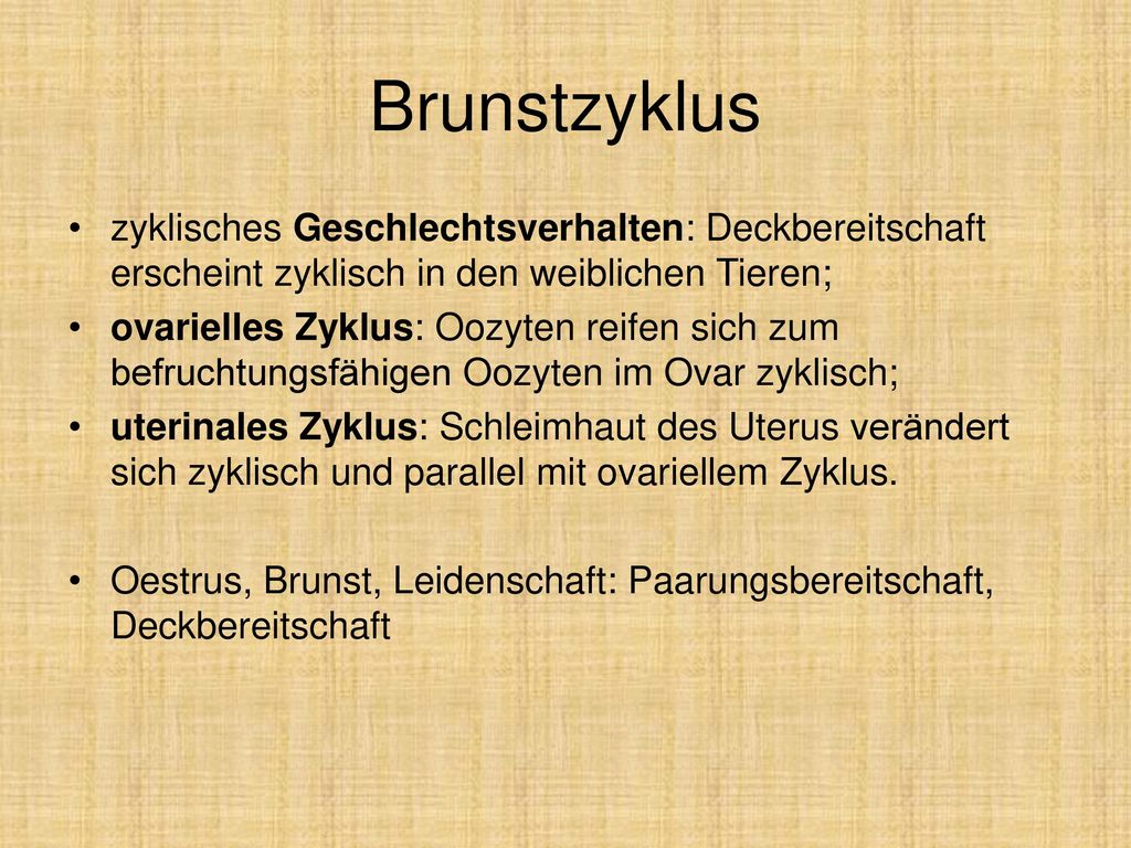 Brunstzyklus zyklisches Geschlechtsverhalten: Deckbereitschaft erscheint zyklisch in den weiblichen Tieren;