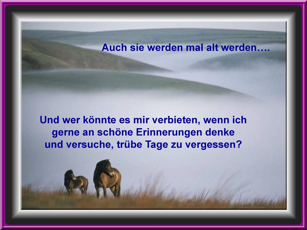 Und wer könnte es mir verbieten, wenn ich gerne an schöne Erinnerungen denke und versuche, trübe Tage zu vergessen