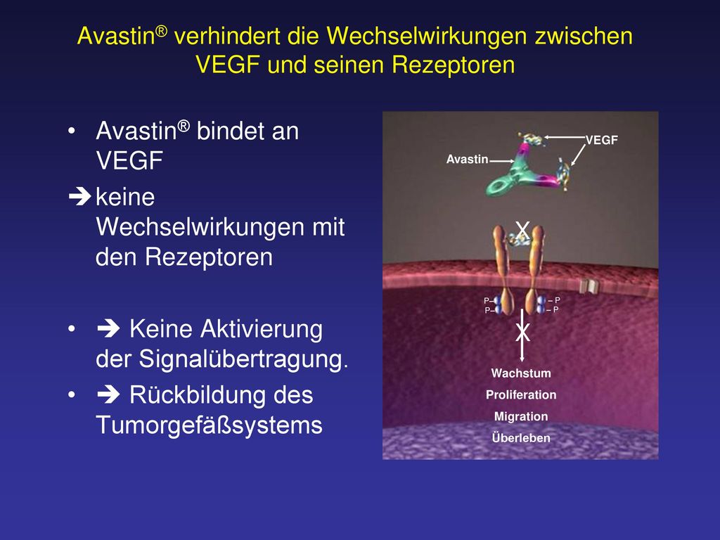 Avastin® bindet an VEGF keine Wechselwirkungen mit den Rezeptoren