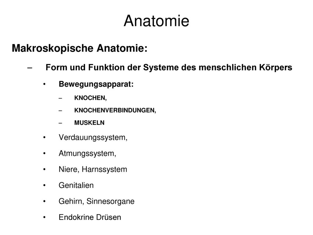 Anatomie Makroskopische Anatomie: