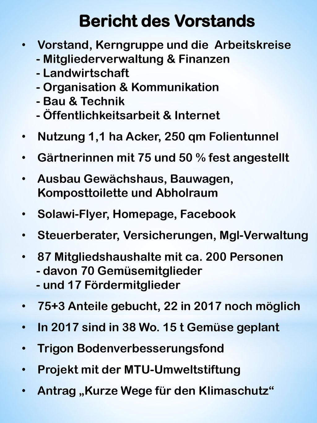Bericht des Vorstands Vorstand, Kerngruppe und die Arbeitskreise