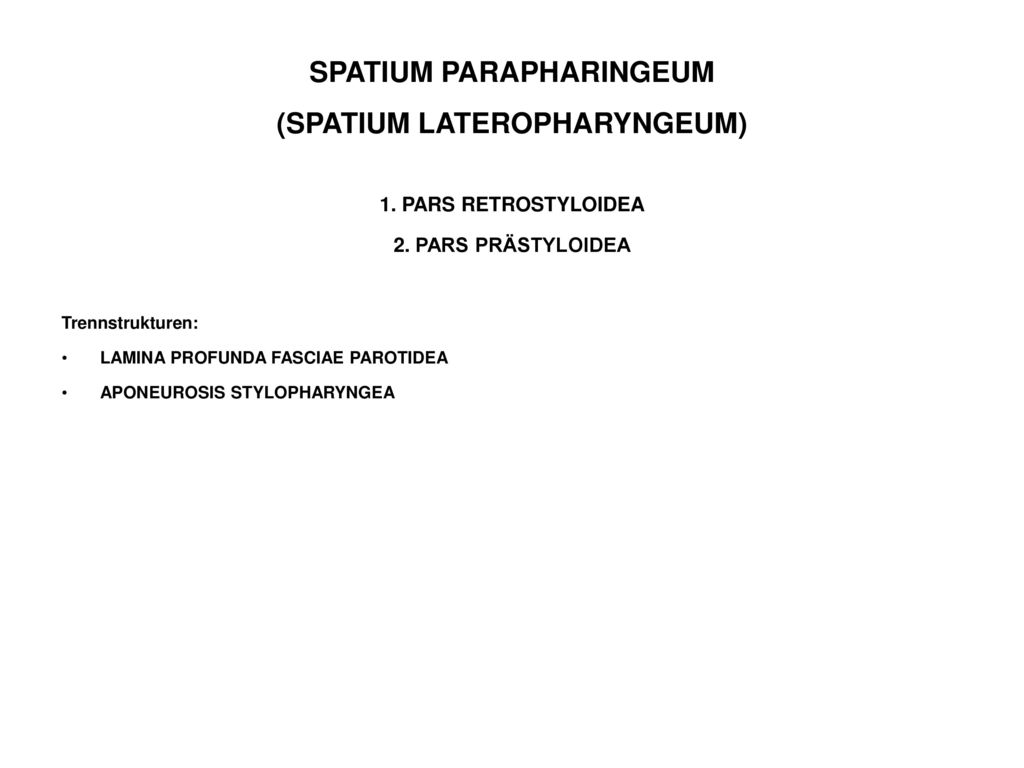 SPATIUM PARAPHARINGEUM (SPATIUM LATEROPHARYNGEUM)