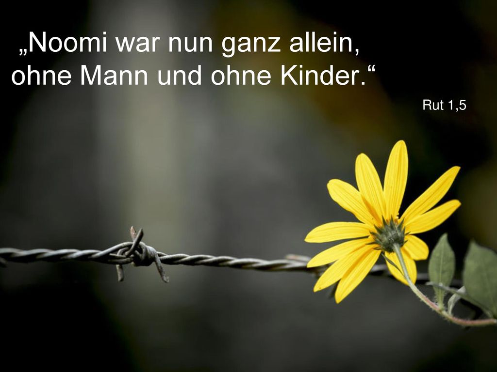„Noomi war nun ganz allein, ohne Mann und ohne Kinder.