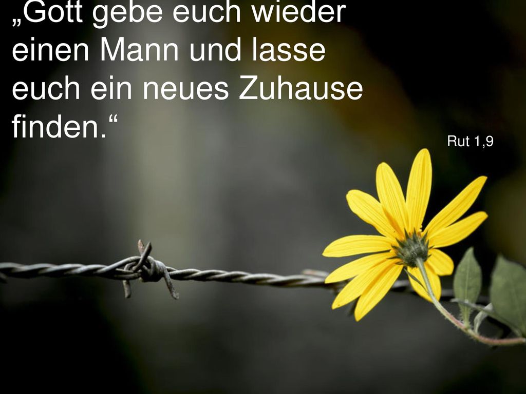 „Gott gebe euch wieder einen Mann und lasse euch ein neues Zuhause finden.
