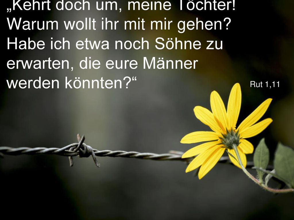 „Kehrt doch um, meine Töchter. Warum wollt ihr mit mir gehen
