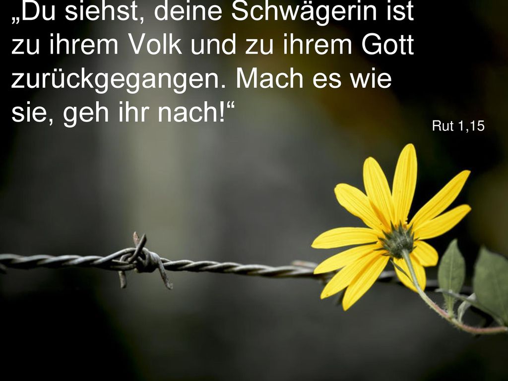 „Du siehst, deine Schwägerin ist zu ihrem Volk und zu ihrem Gott zurückgegangen. Mach es wie sie, geh ihr nach!
