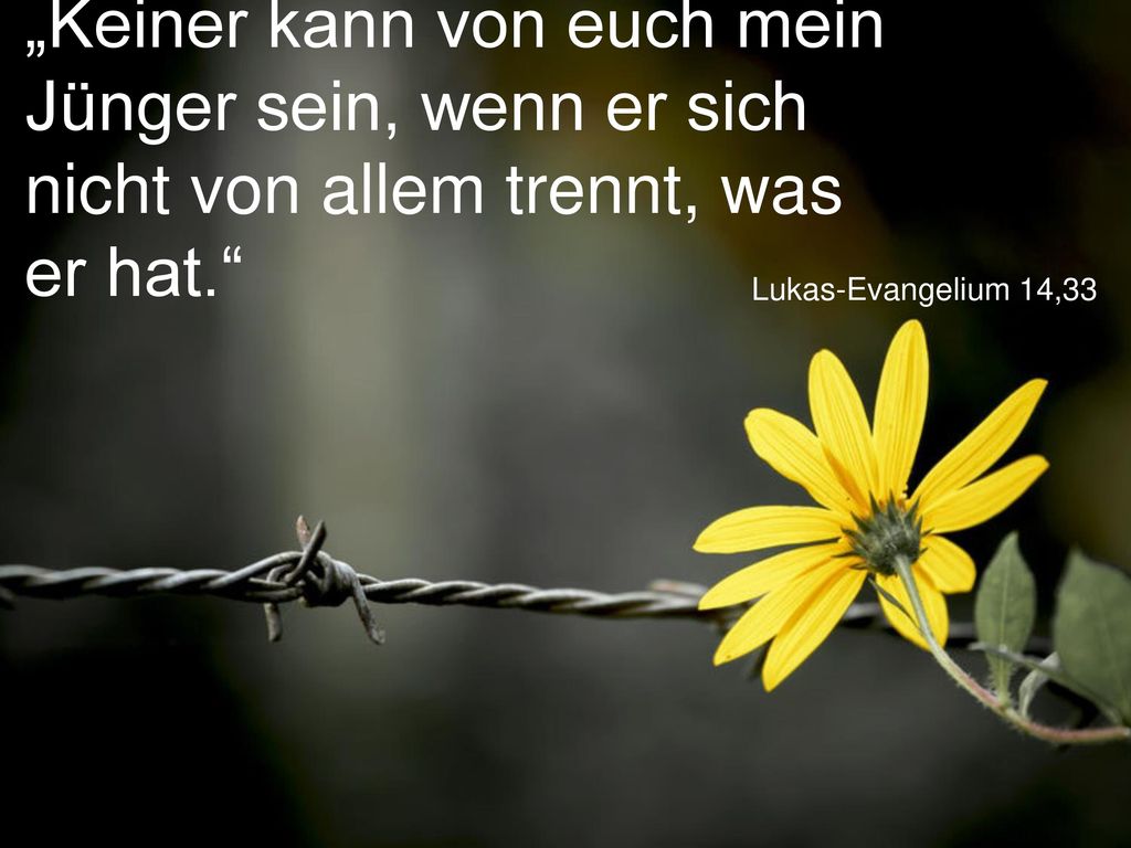 „Keiner kann von euch mein Jünger sein, wenn er sich nicht von allem trennt, was er hat.