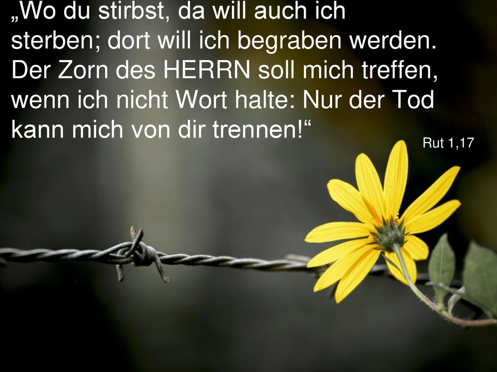 „Wo du stirbst, da will auch ich sterben; dort will ich begraben werden. Der Zorn des HERRN soll mich treffen, wenn ich nicht Wort halte: Nur der Tod kann mich von dir trennen!