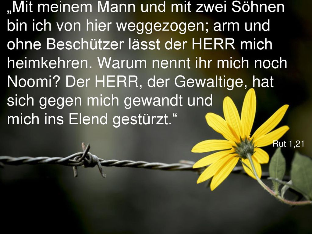 „Mit meinem Mann und mit zwei Söhnen bin ich von hier weggezogen; arm und ohne Beschützer lässt der HERR mich heimkehren. Warum nennt ihr mich noch Noomi Der HERR, der Gewaltige, hat sich gegen mich gewandt und mich ins Elend gestürzt.