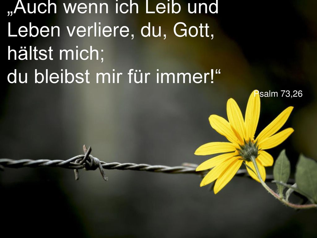 „Auch wenn ich Leib und Leben verliere, du, Gott, hältst mich; du bleibst mir für immer!