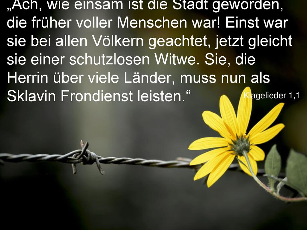 „Ach, wie einsam ist die Stadt geworden, die früher voller Menschen war! Einst war sie bei allen Völkern geachtet, jetzt gleicht sie einer schutzlosen Witwe. Sie, die Herrin über viele Länder, muss nun als Sklavin Frondienst leisten.