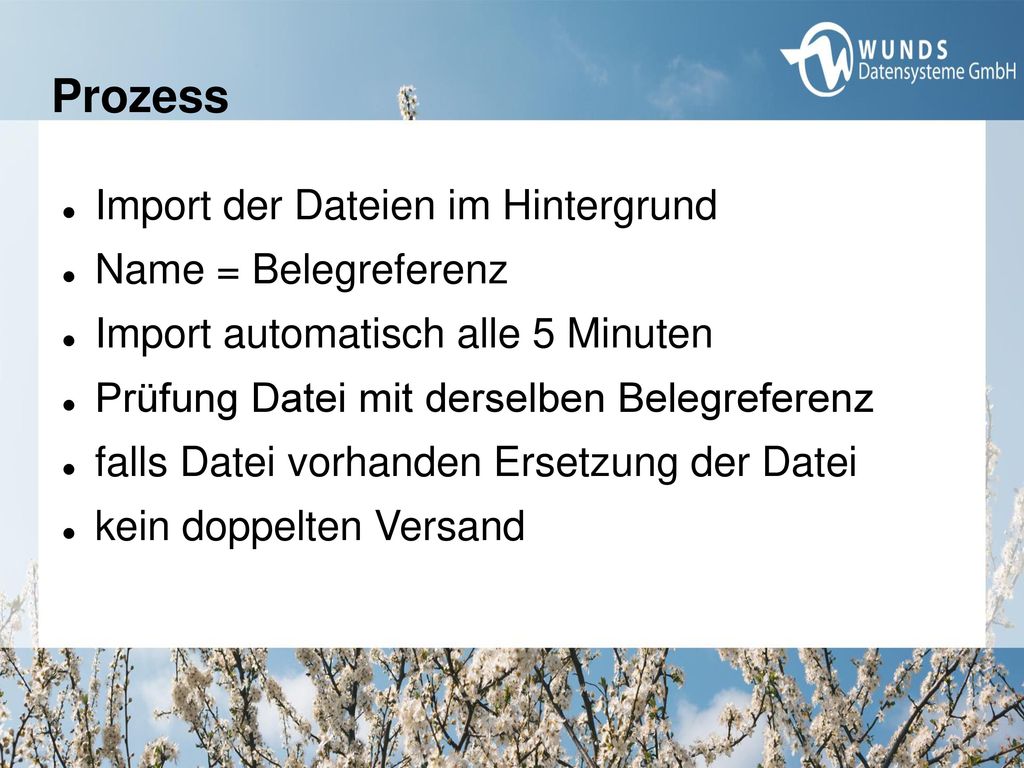 Prozess Import der Dateien im Hintergrund Name = Belegreferenz