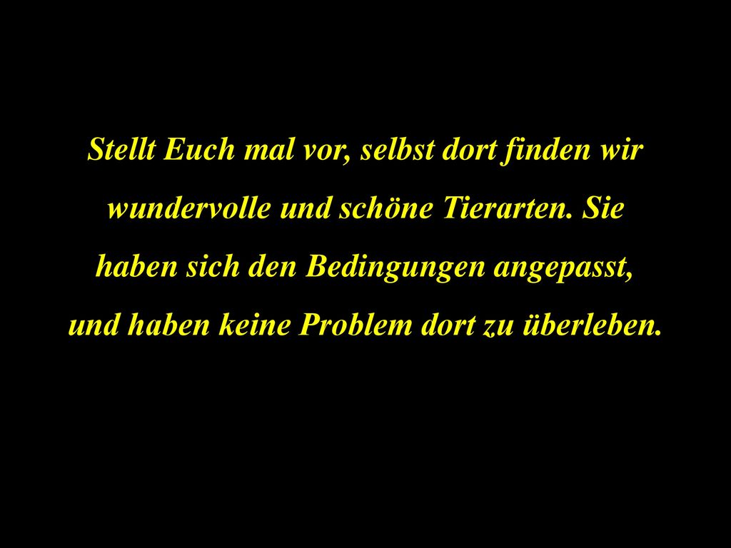 Stellt Euch mal vor, selbst dort finden wir