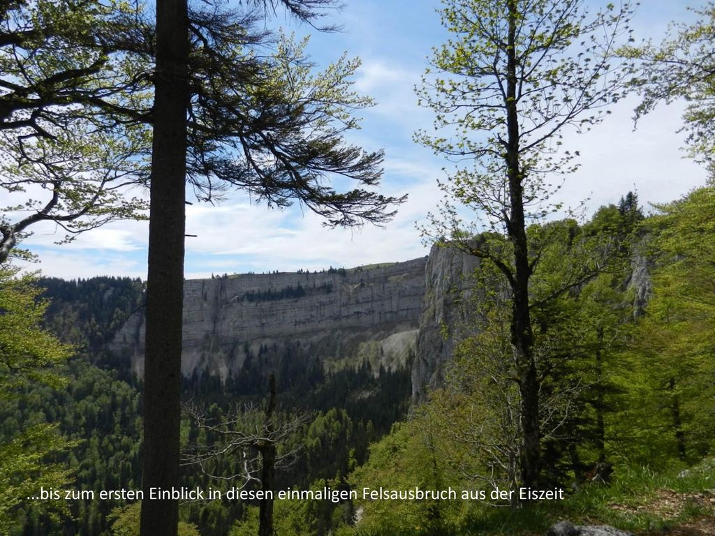 ...bis zum ersten Einblick in diesen einmaligen Felsausbruch aus der Eiszeit