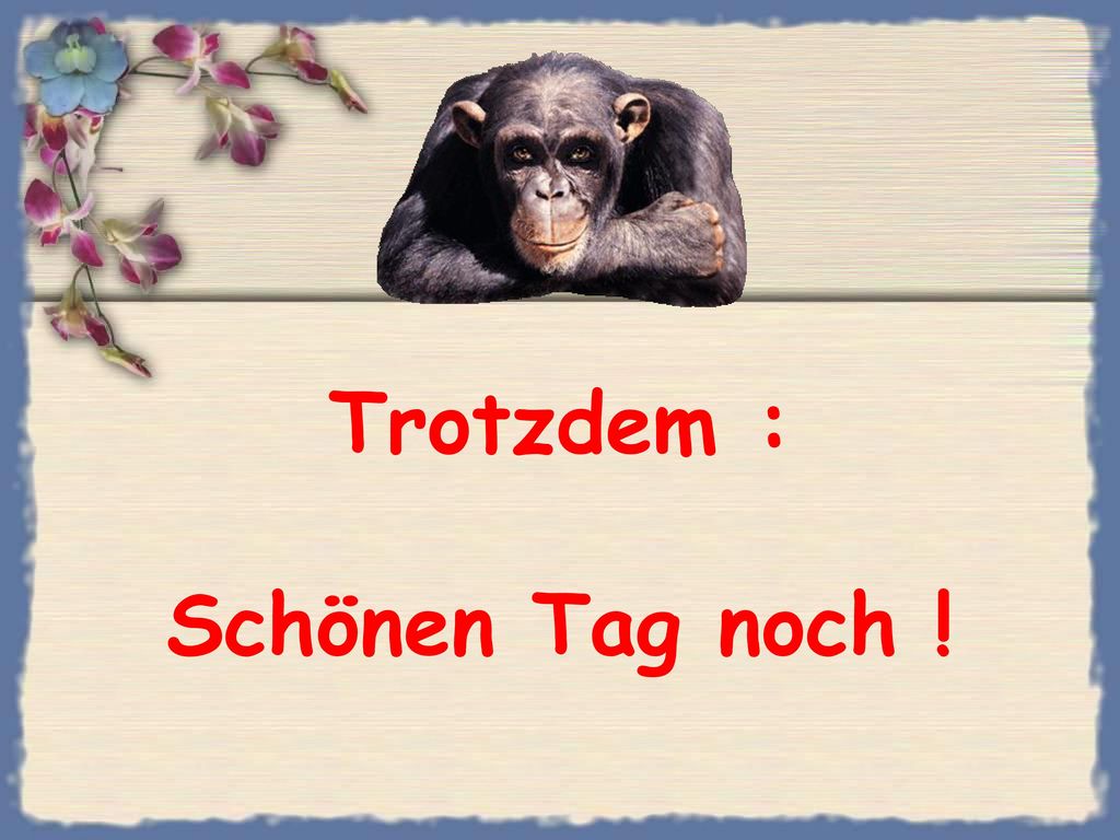 Trotzdem : Schönen Tag noch !