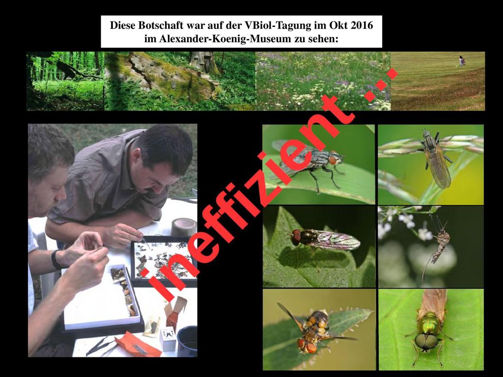 Diese Botschaft war auf der VBiol-Tagung im Okt 2016