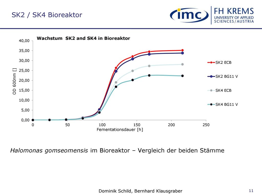 SK2 / SK4 Bioreaktor Halomonas gomseomensis im Bioreaktor – Vergleich der beiden Stämme.