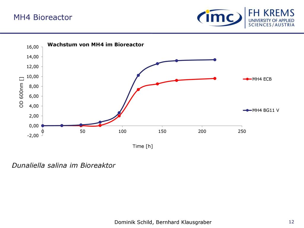 MH4 Bioreactor Dunaliella salina im Bioreaktor