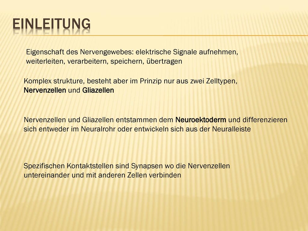 Einleitung Eigenschaft des Nervengewebes: elektrische Signale aufnehmen, weiterleiten, verarbeitern, speichern, übertragen.