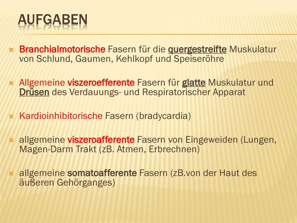 Aufgaben Branchialmotorische Fasern für die quergestreifte Muskulatur von Schlund, Gaumen, Kehlkopf und Speiseröhre.