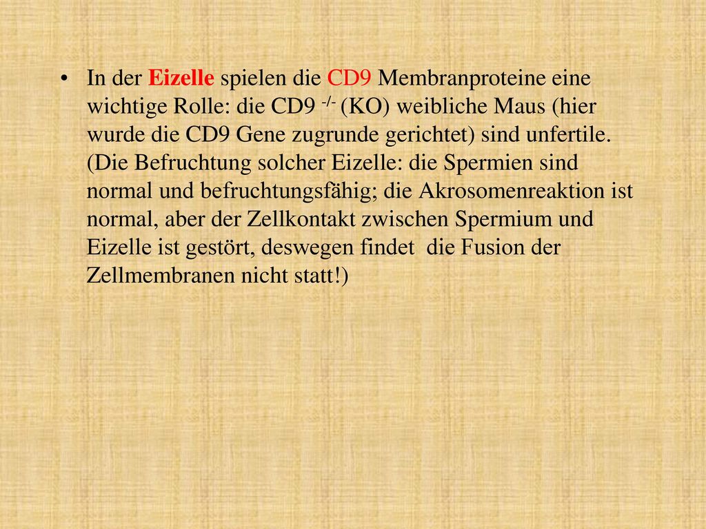 In der Eizelle spielen die CD9 Membranproteine eine wichtige Rolle: die CD9 -/- (KO) weibliche Maus (hier wurde die CD9 Gene zugrunde gerichtet) sind unfertile.