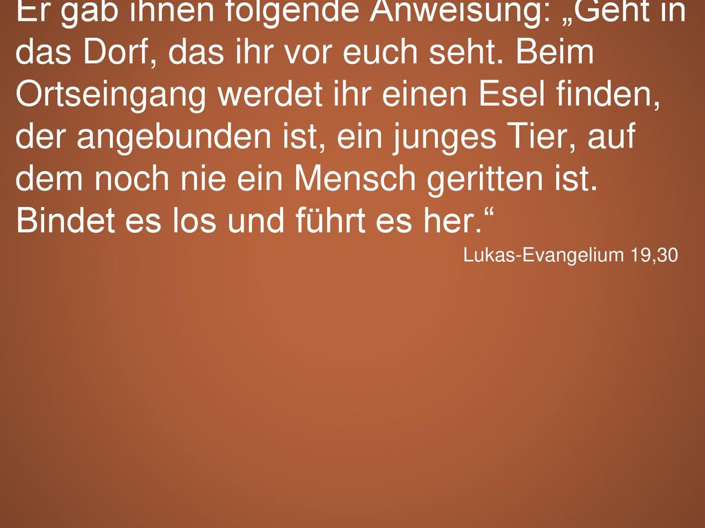 Er gab ihnen folgende Anweisung: „Geht in das Dorf, das ihr vor euch seht. Beim Ortseingang werdet ihr einen Esel finden, der angebunden ist, ein junges Tier, auf dem noch nie ein Mensch geritten ist. Bindet es los und führt es her.